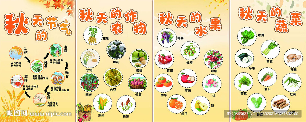 幼儿园秋天的节气