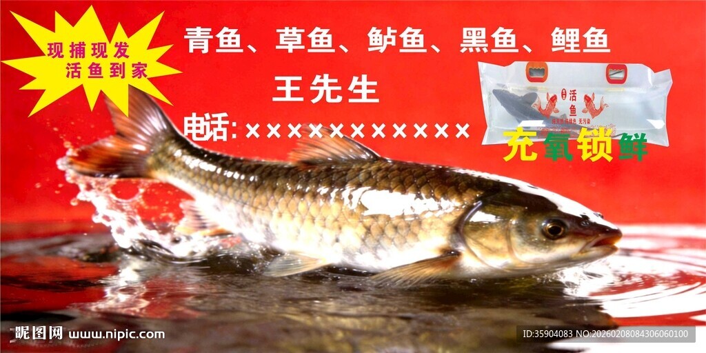 野生鲜活大鱼在线销售