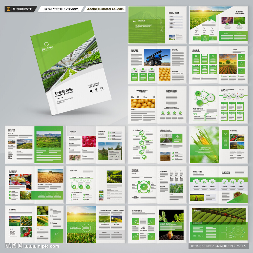 农产品宣传册