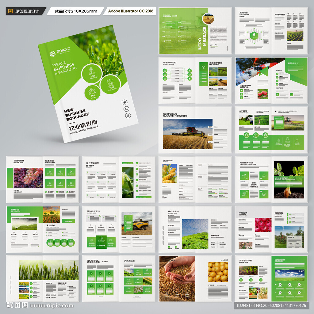 农产品宣传册