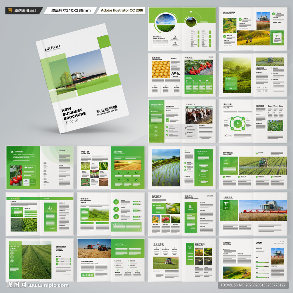 农产品宣传册