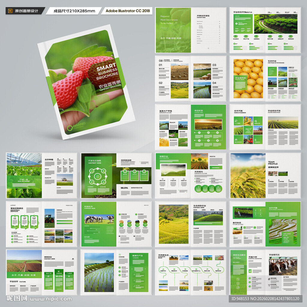 农业宣传册