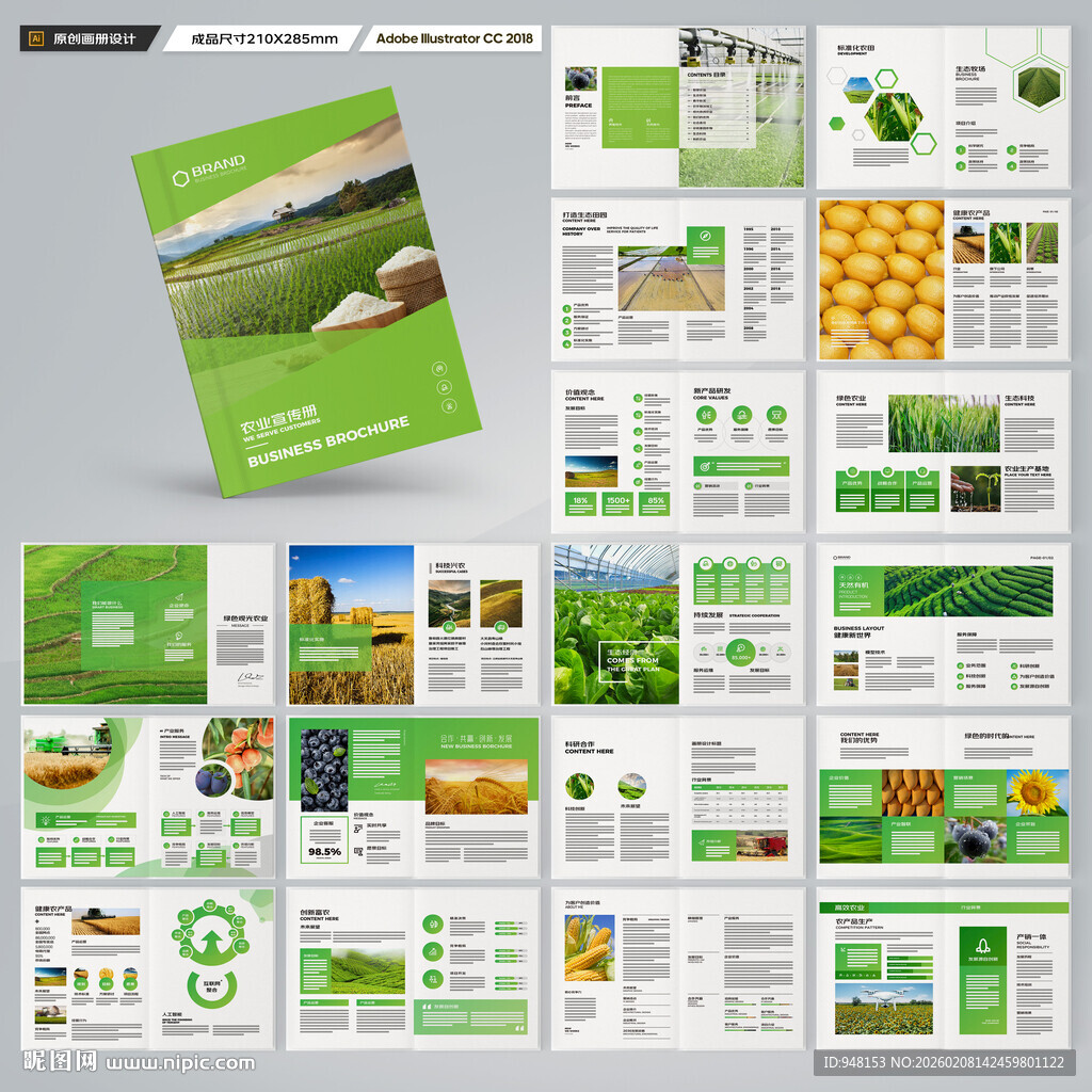 农产品宣传册