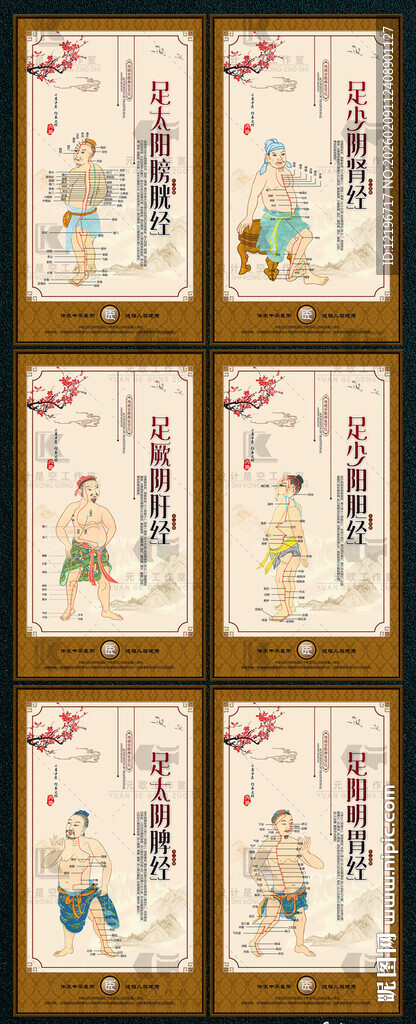 中医养生 中药海报 中医药文化