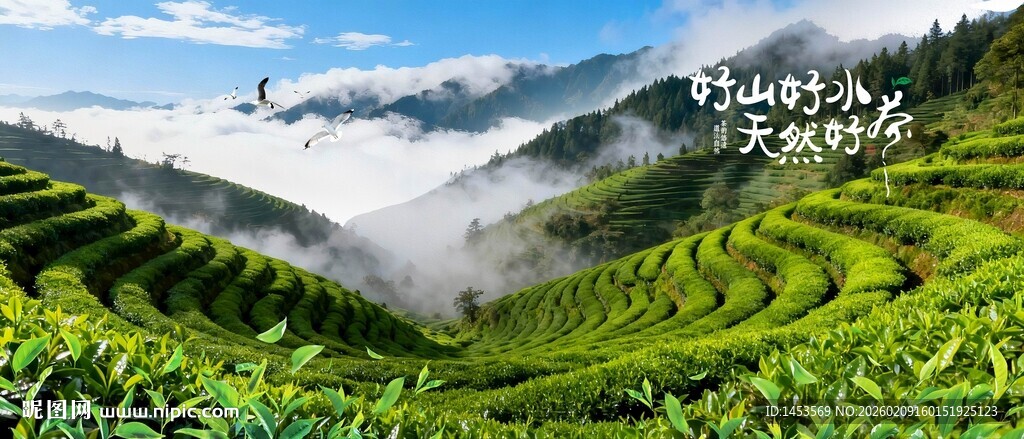 云雾缭绕的美丽茶山景观