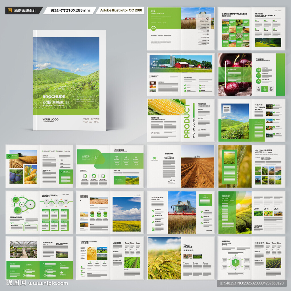 农产品宣传册