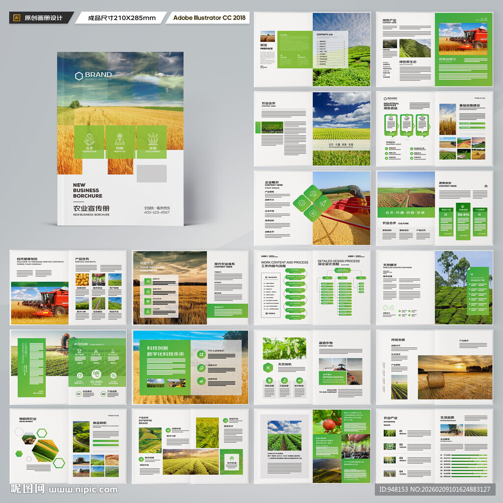 农产品宣传册