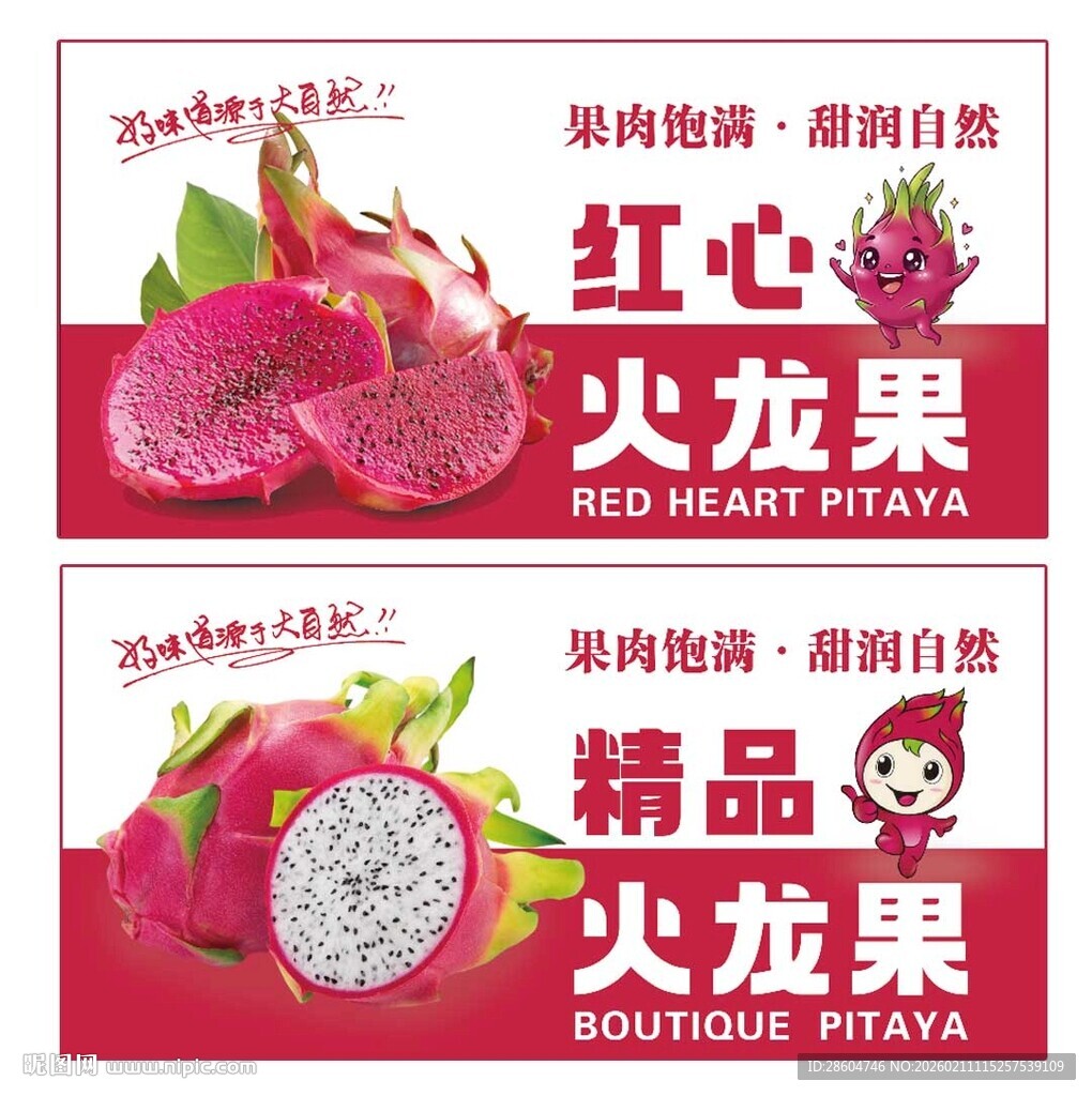 火龙果精品宣传海报