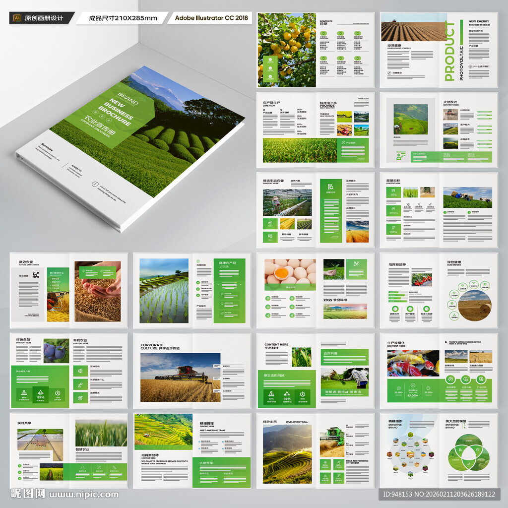 农产品宣传册