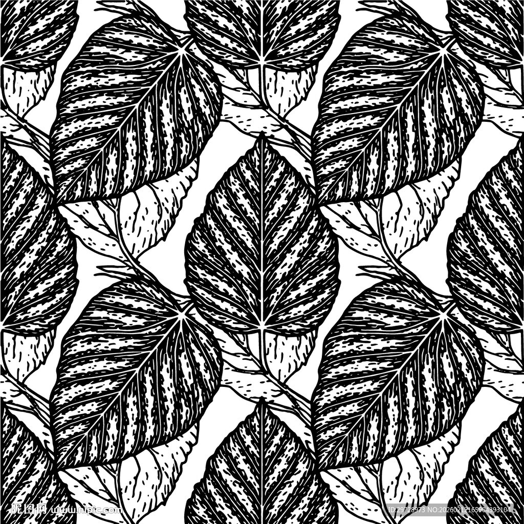 黑白叶脉图案纹理背景