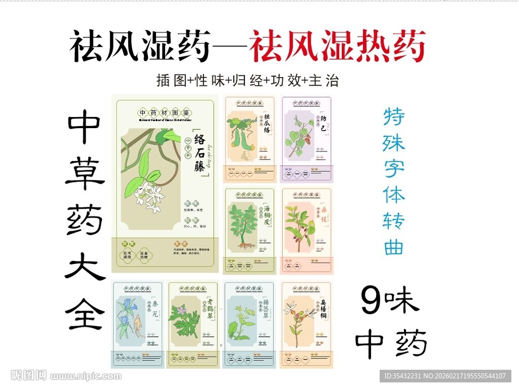 中草药大全之祛风湿热药