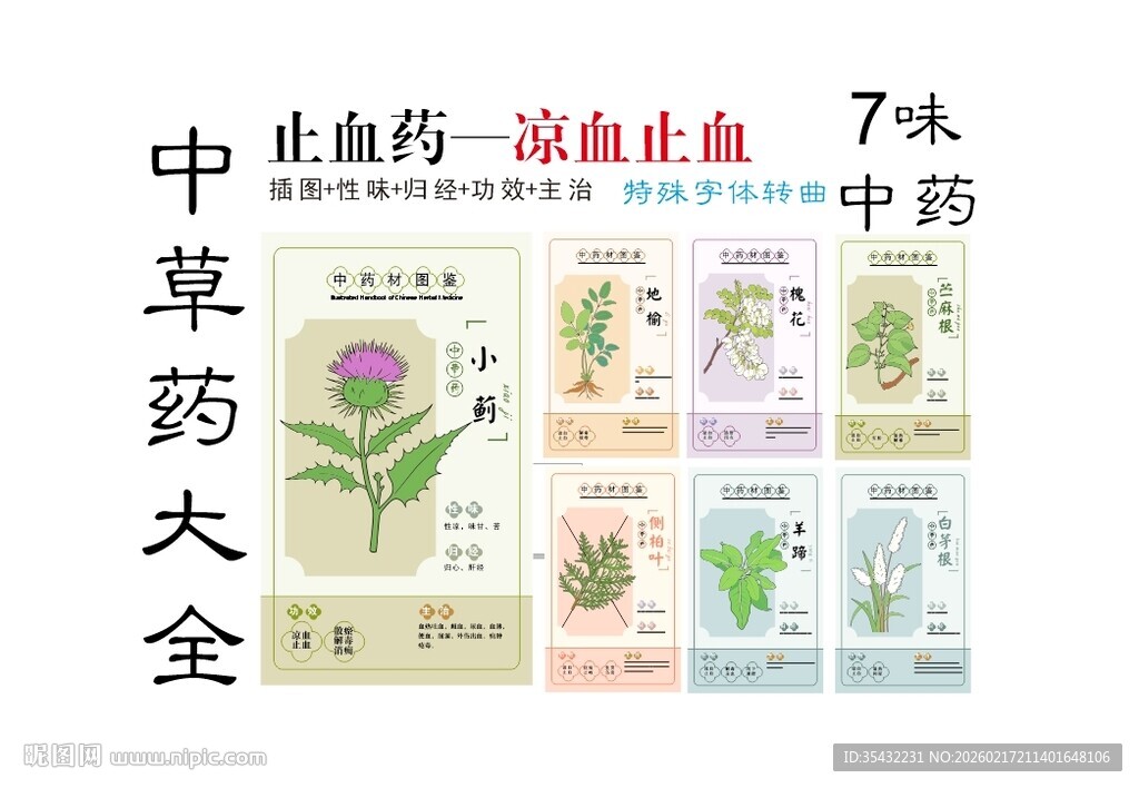 中草药大全之凉血止血药