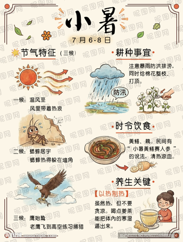 24节气系列之小暑