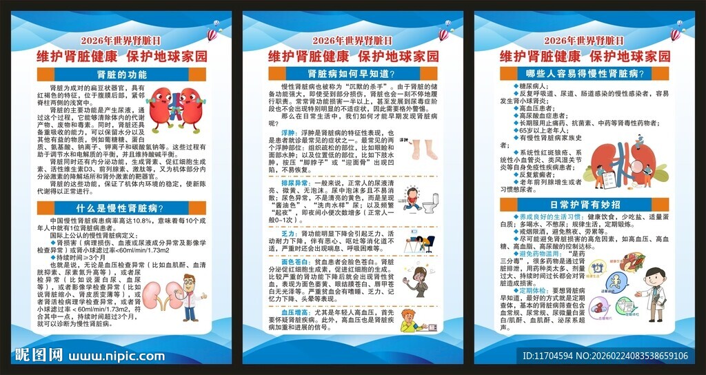 世界肾脏日展板