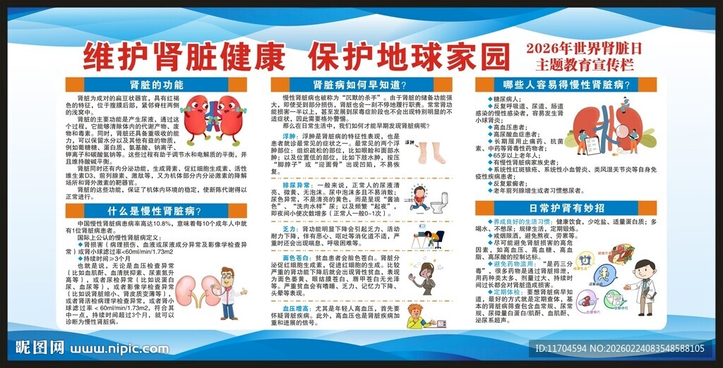 世界肾脏日宣传栏