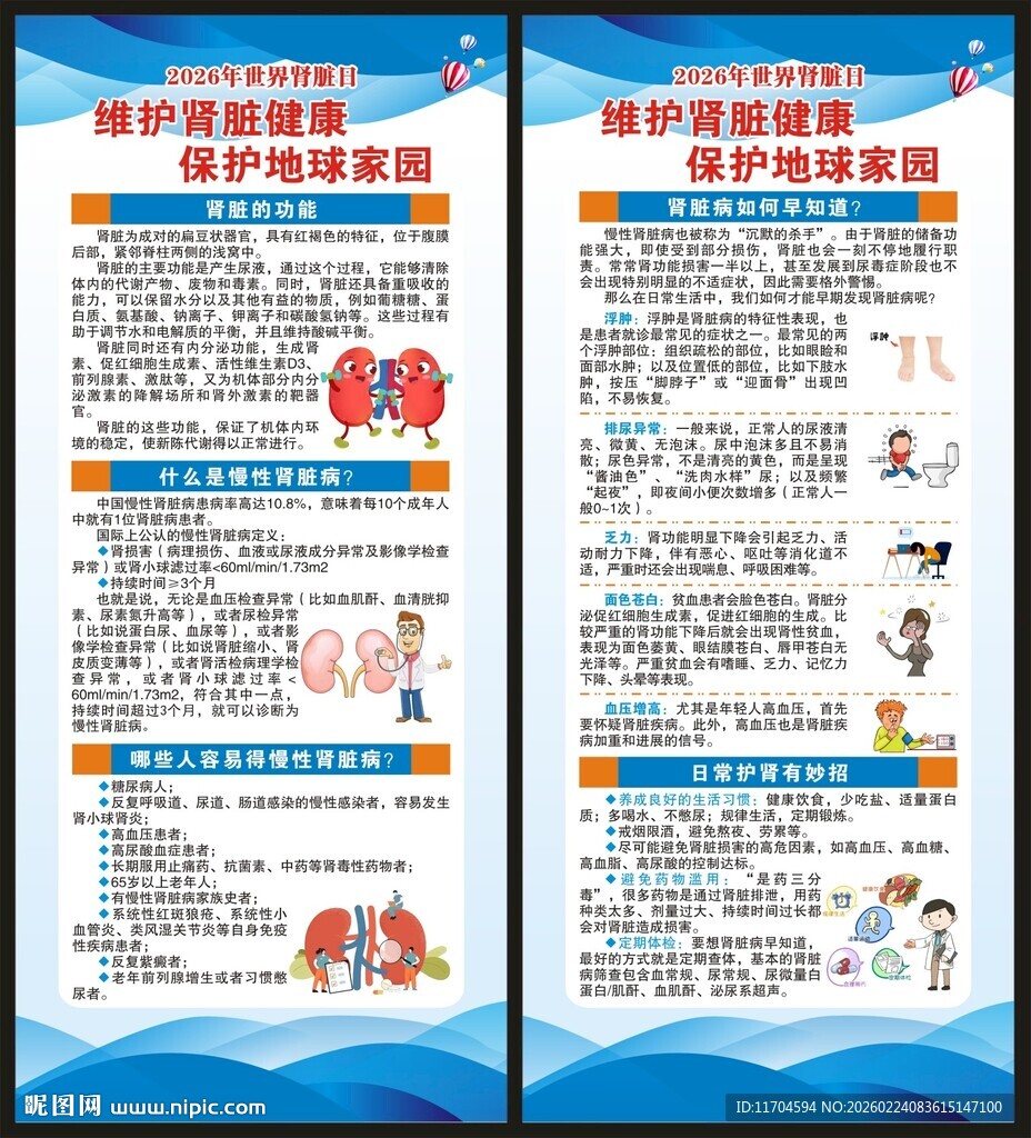 世界肾脏日展架