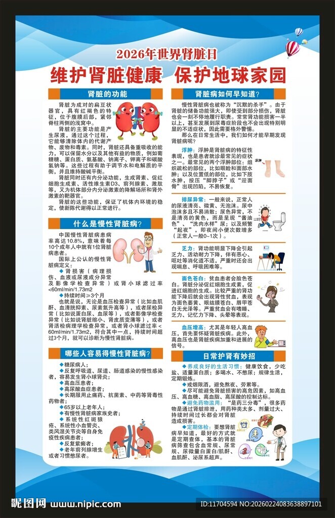 世界肾脏日海报