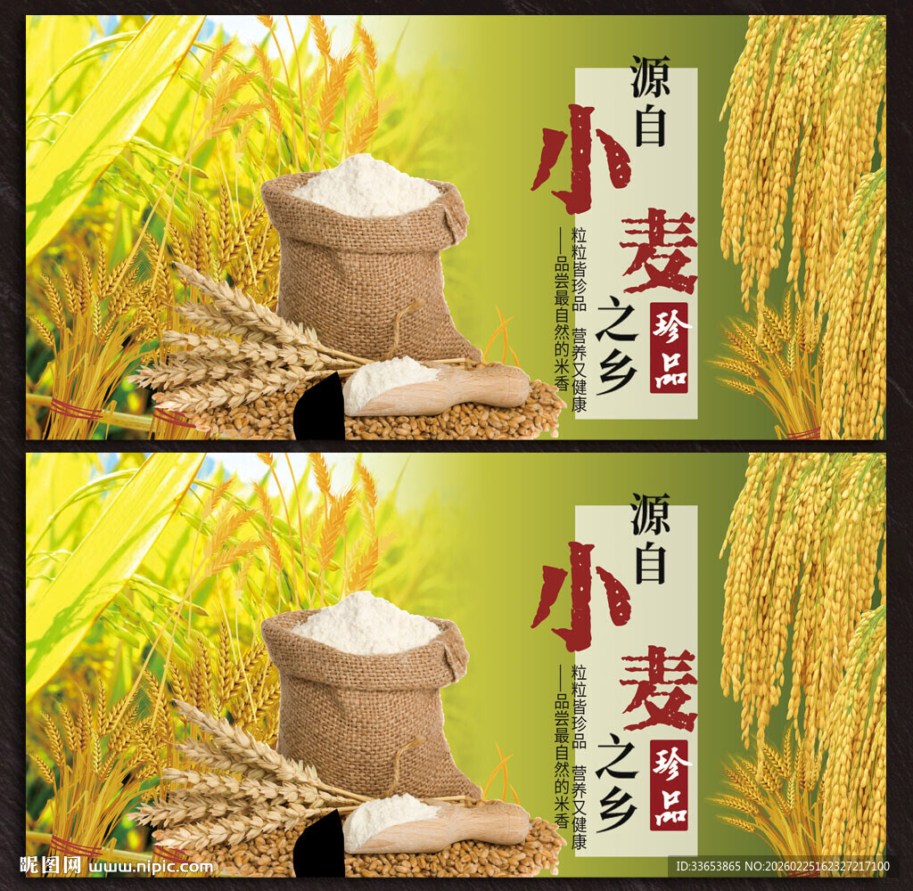 小麦展板