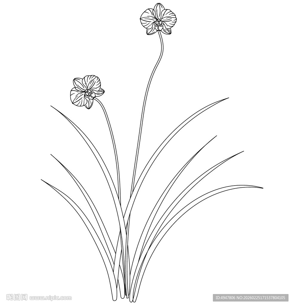 线条勾勒的花朵植物图 矢量图