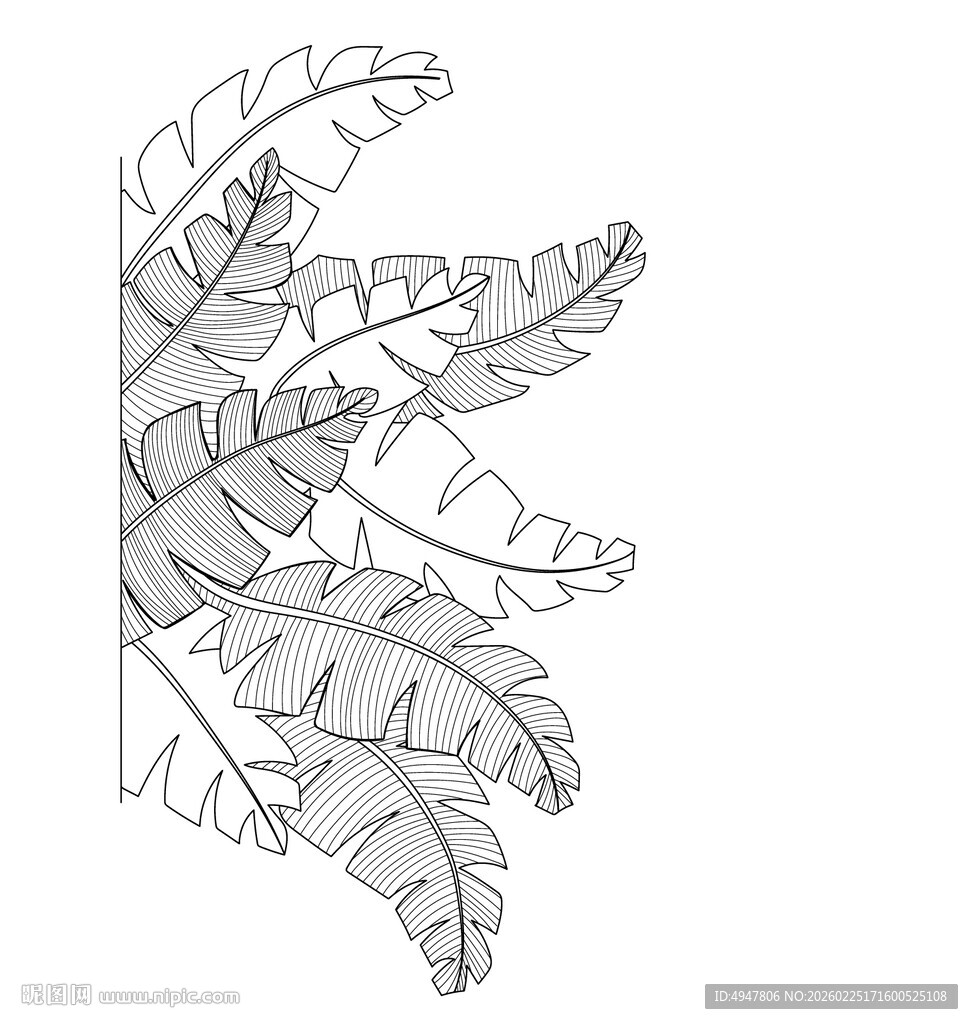 手绘蕨类植物叶片图案 矢量图