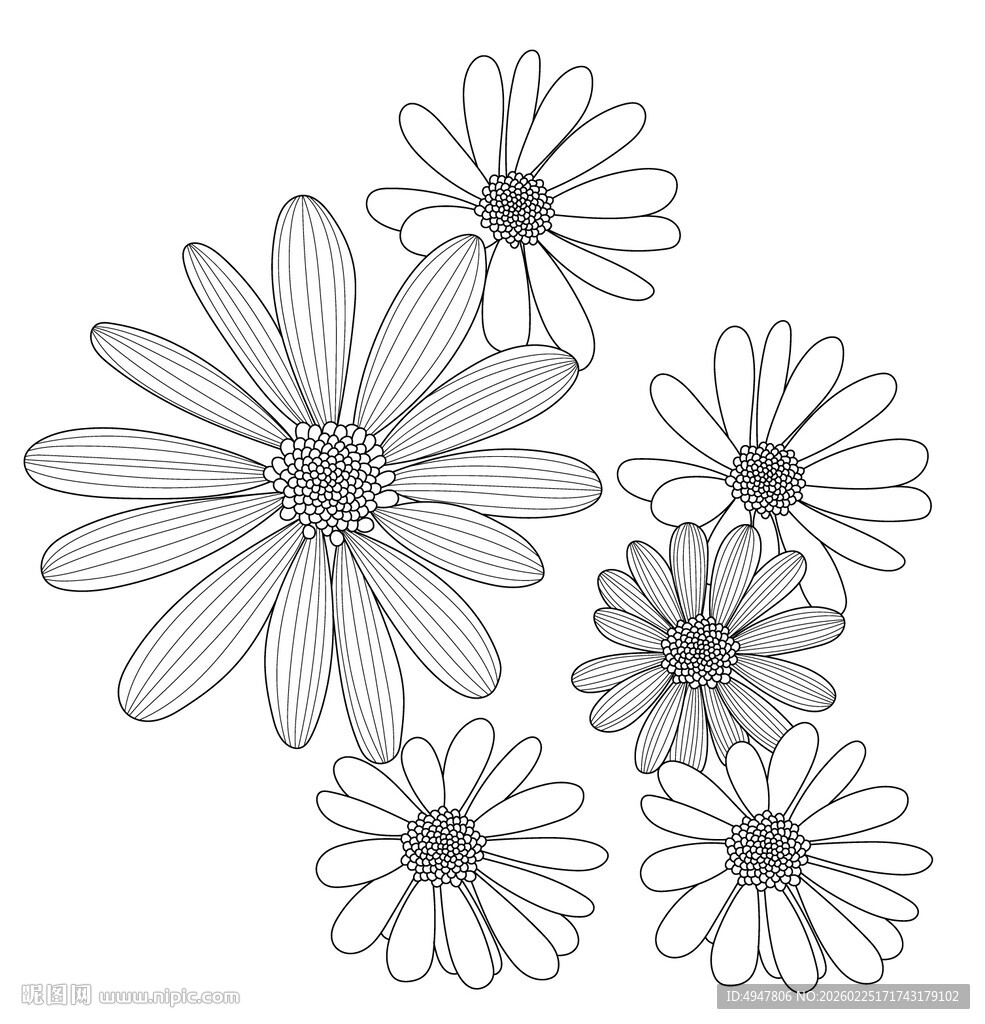 手绘简约雏菊花图案 矢量图