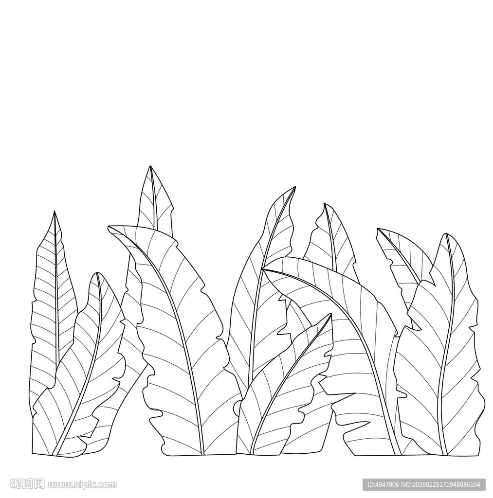 手绘线条风格植物叶片图案 芭蕉