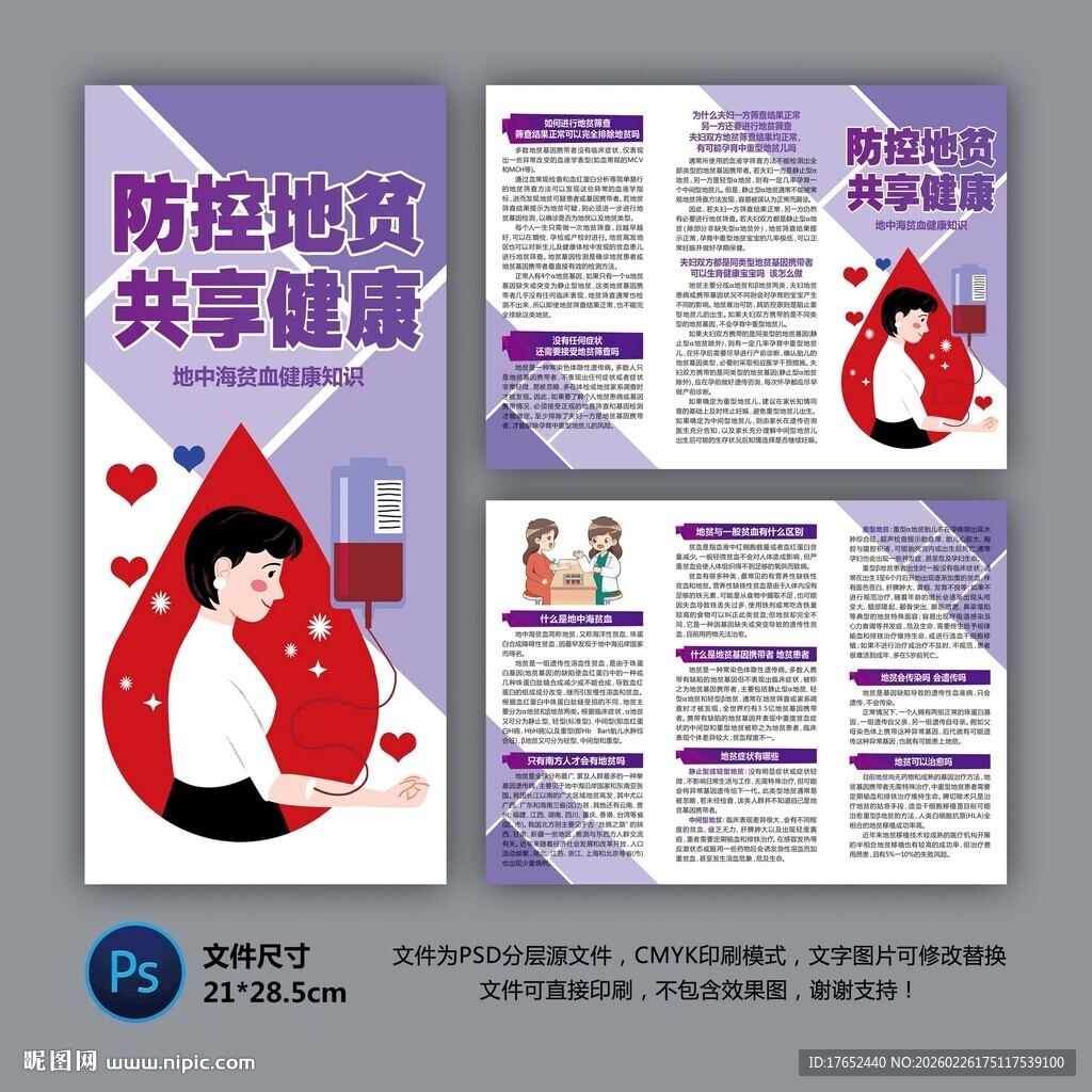 地中海贫血折页