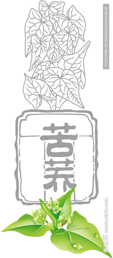 苦荞