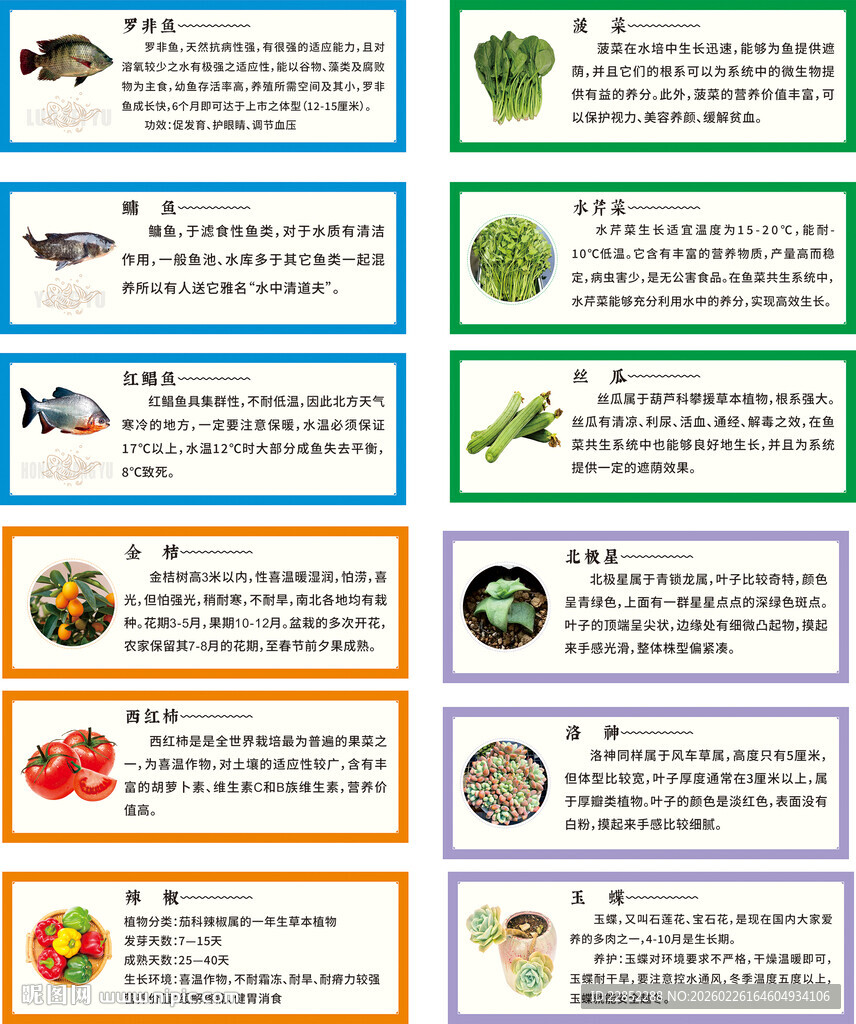 多样蔬菜营养信息卡