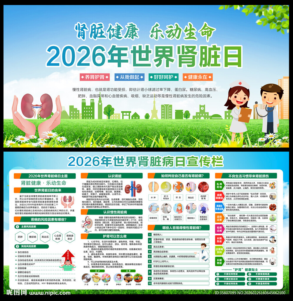 2026年世界肾脏病日