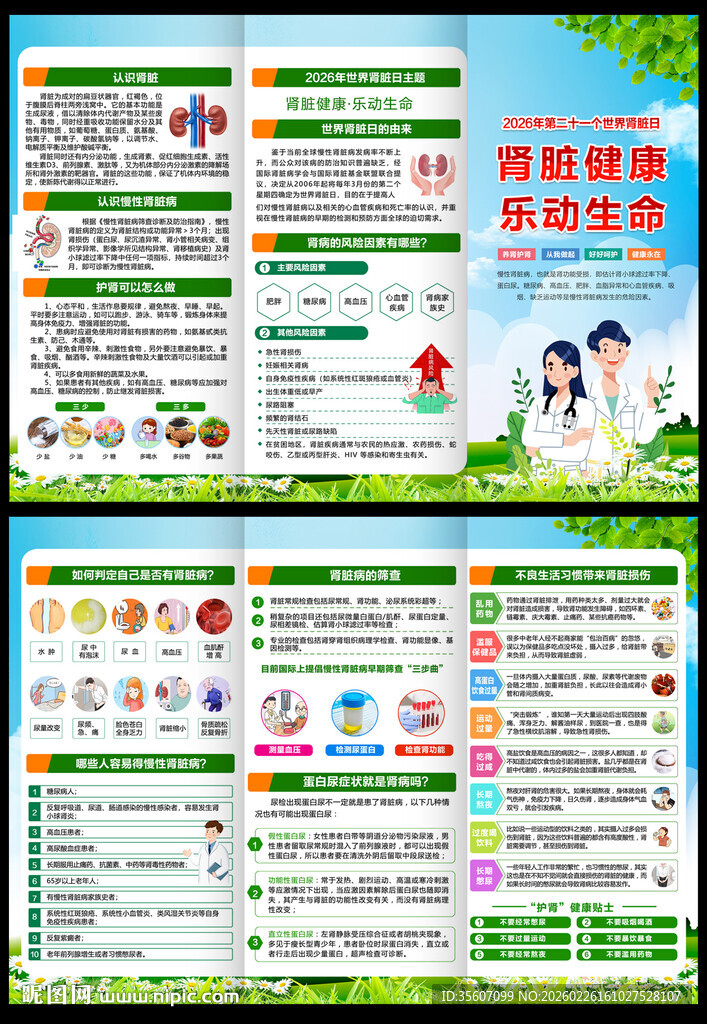 2026年世界肾脏病日折页