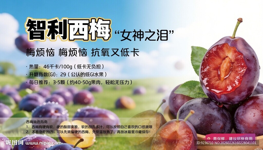 智利西梅 美味新鲜上市