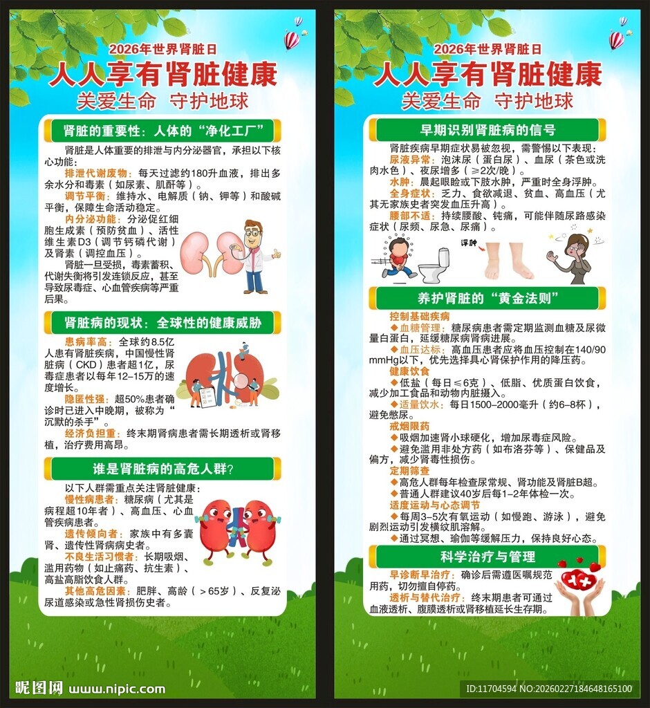 世界肾脏日展架