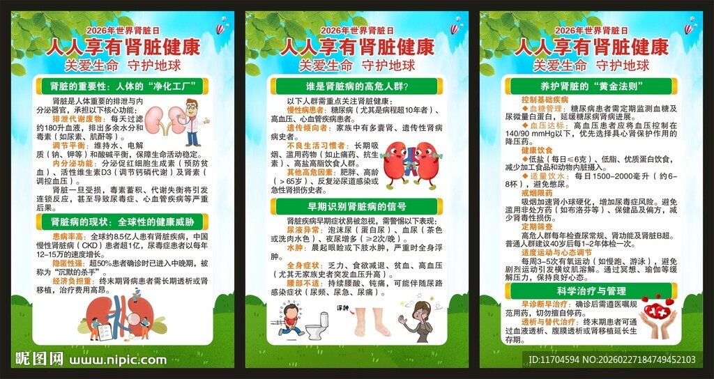 世界肾脏日展板