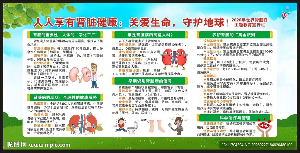 世界肾脏日宣传栏