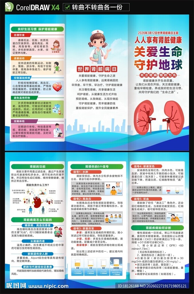2026年世界肾脏病日折页