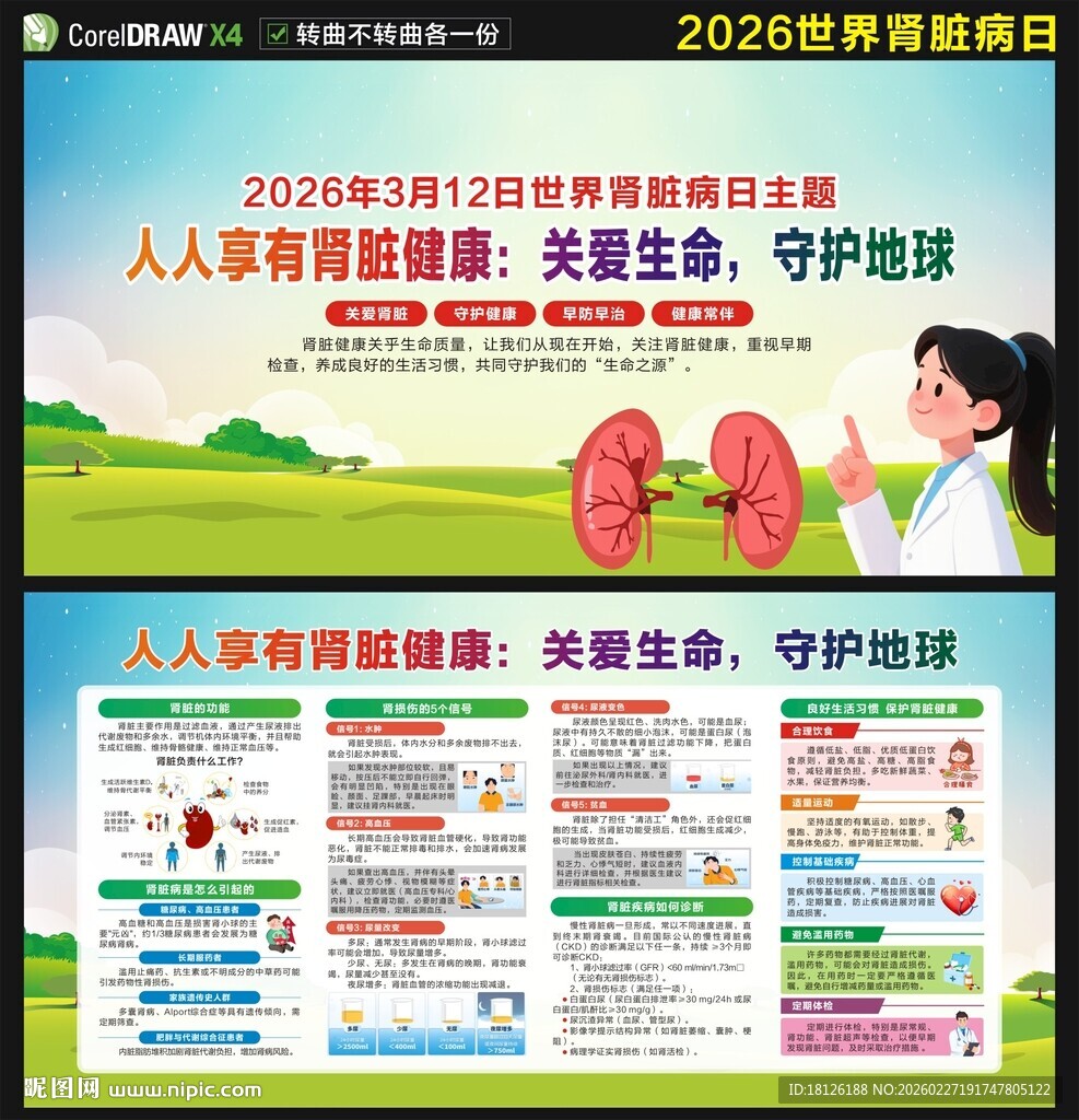 2026年世界肾脏病日