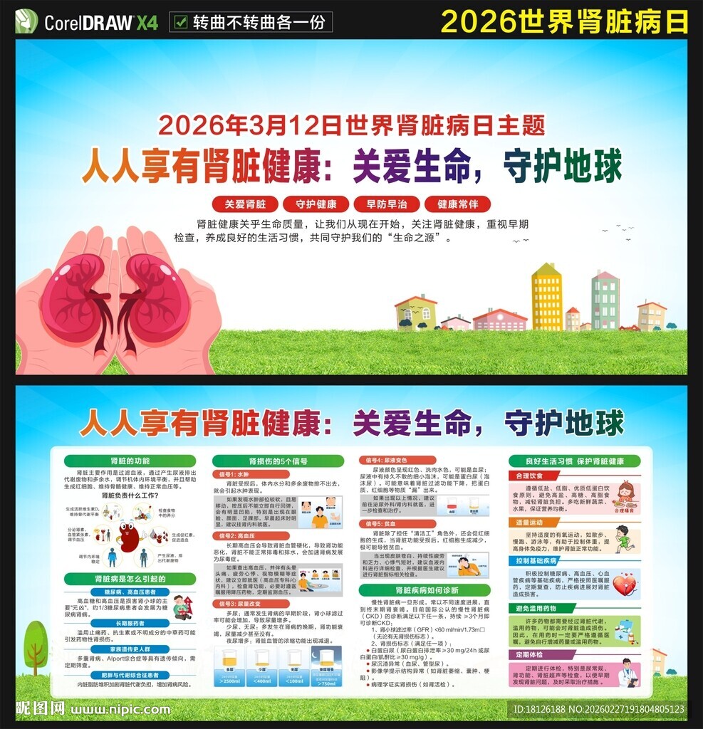 2026年世界肾脏病日展板