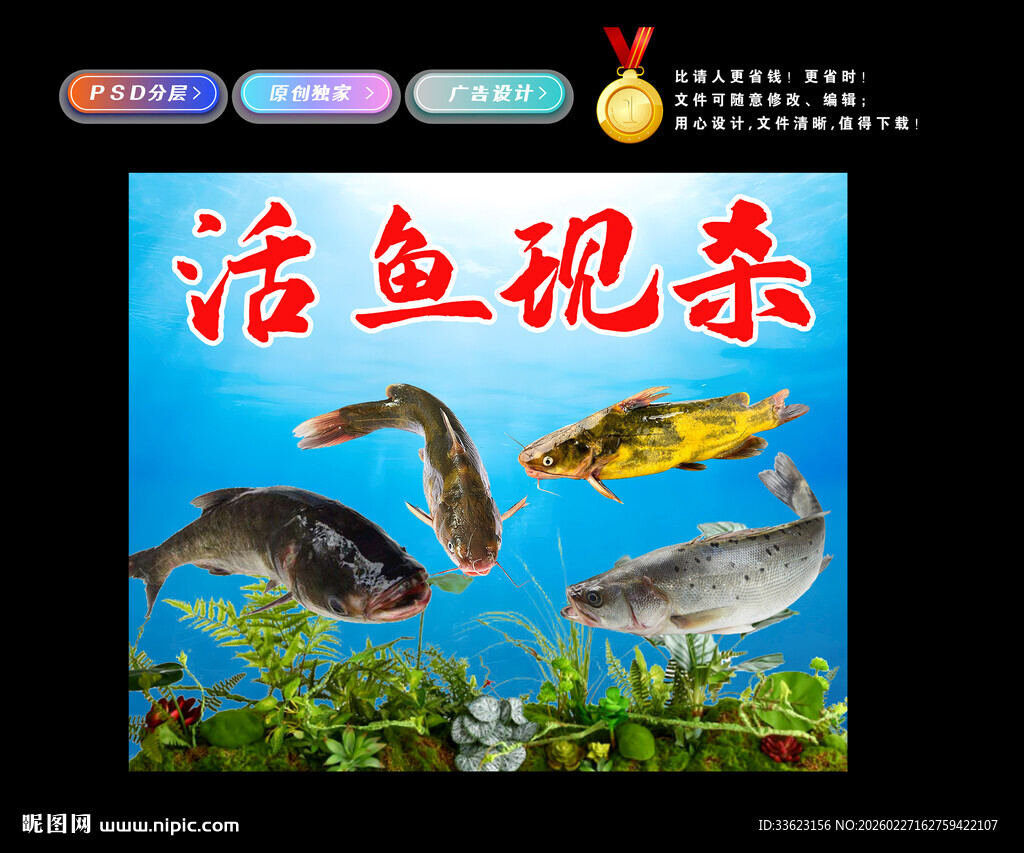 活鱼现杀