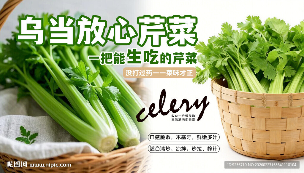 新鲜乌当空心菜 健康选择