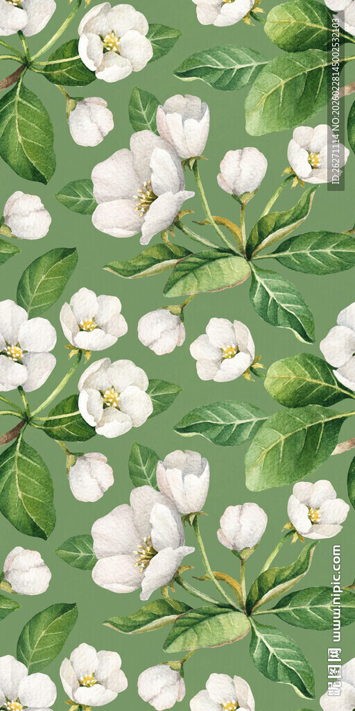 绿叶白花无缝花卉图案