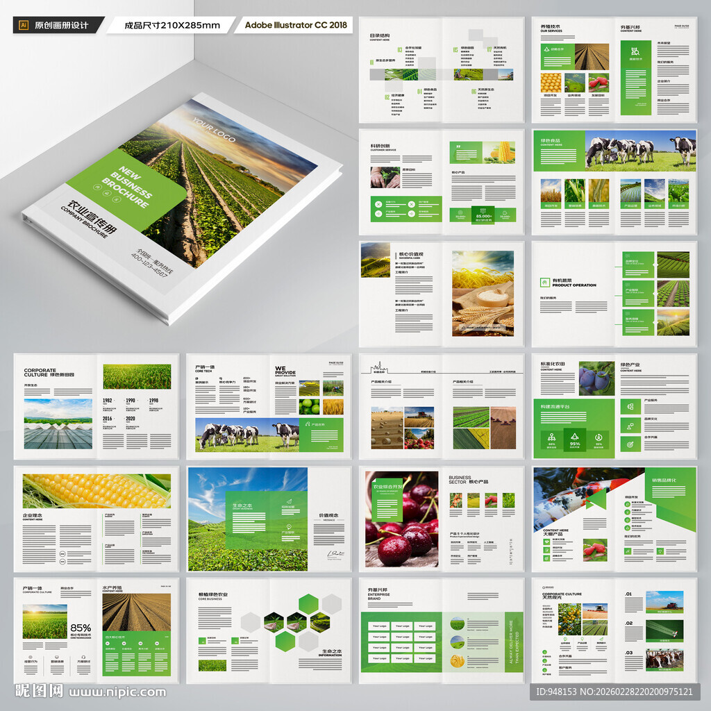 农业合作社画册