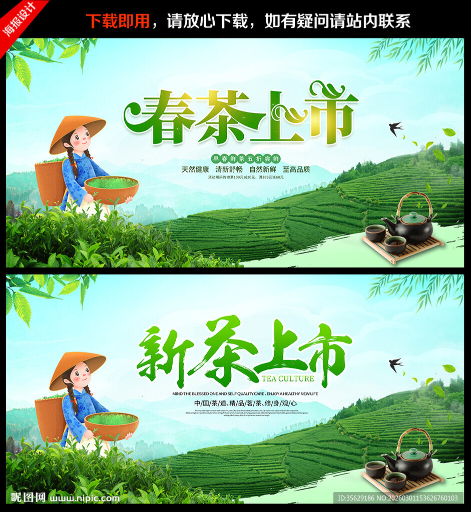 春茶上新