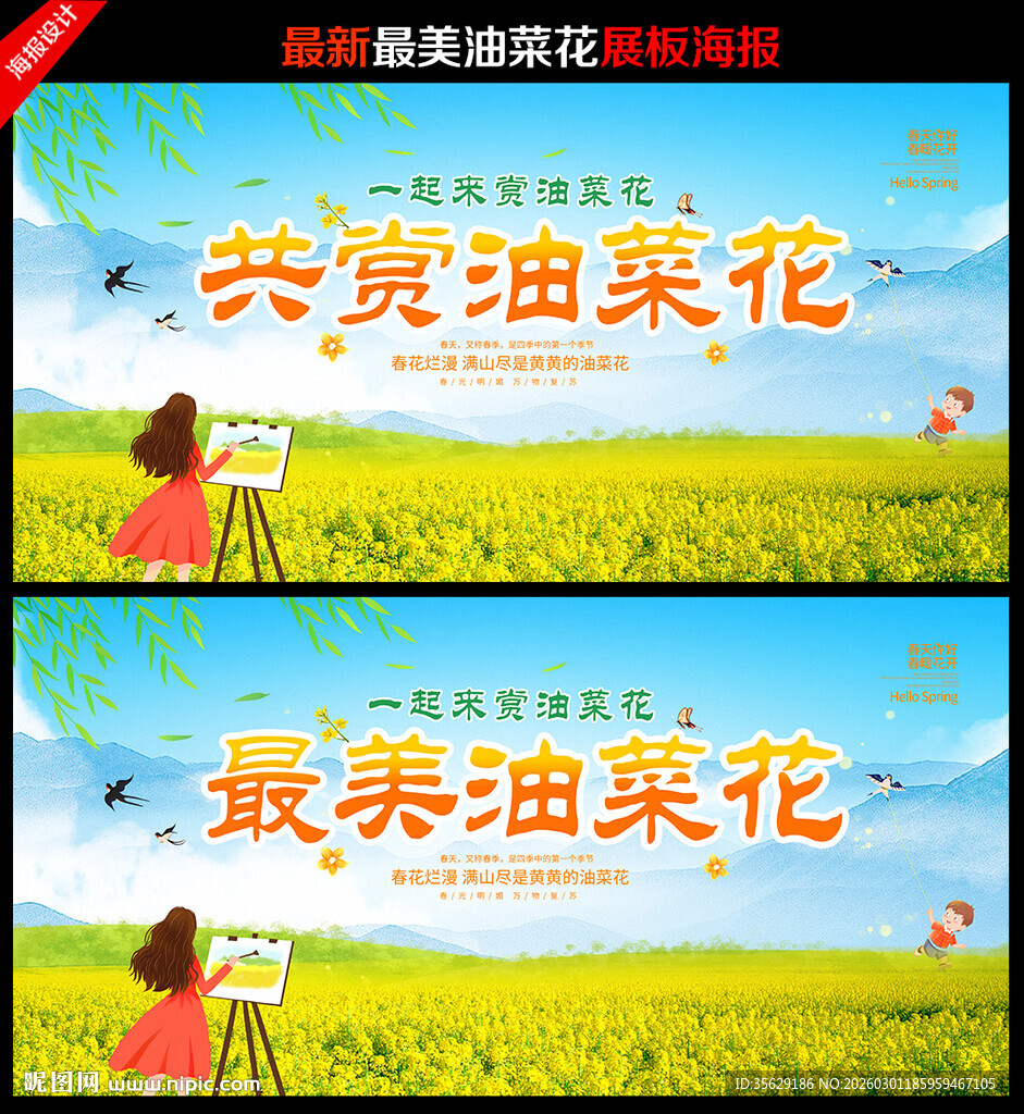 油菜花展板