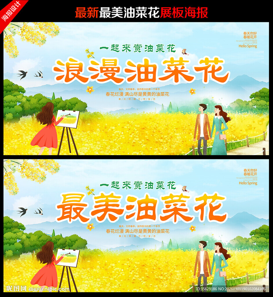 油菜花展板