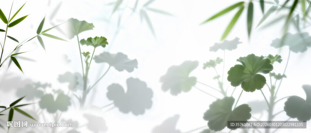 雾气磨砂膜效果绿植贴图