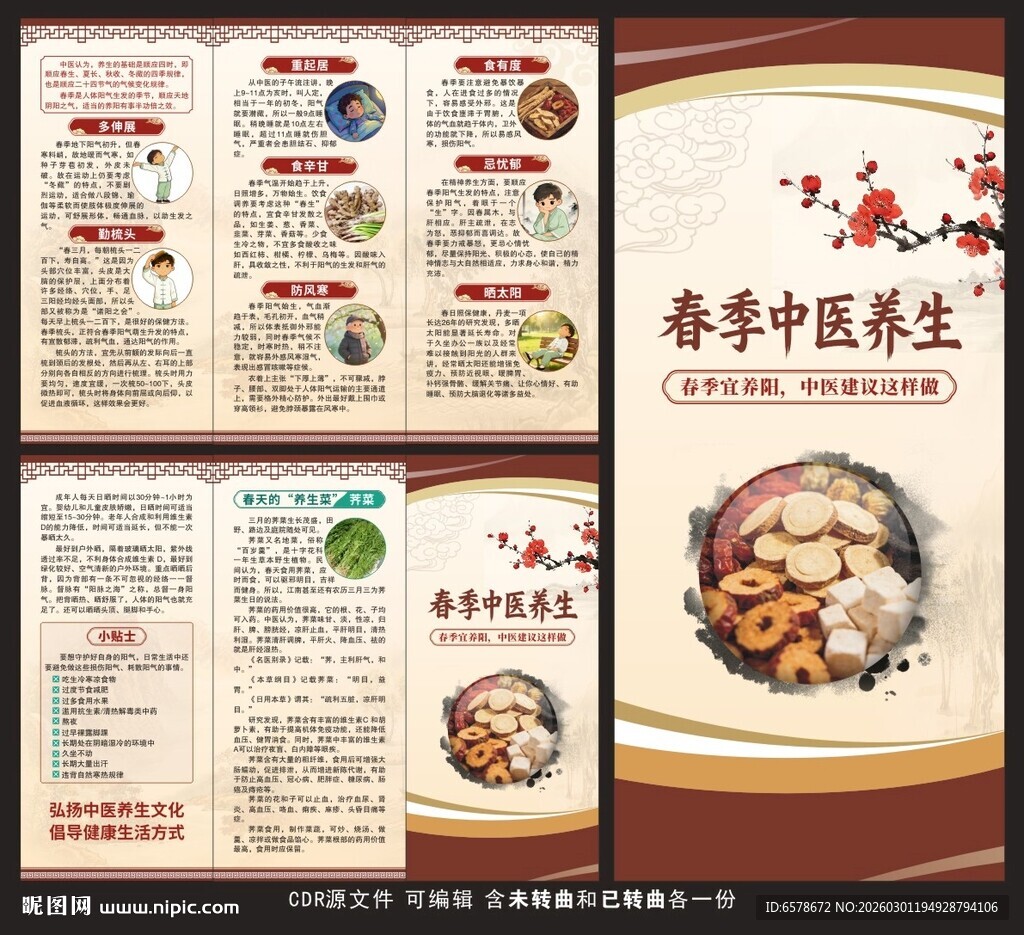 春季中医健康教育三折页