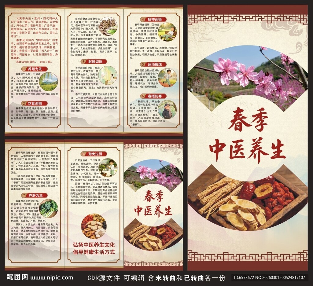 春季中医养生三折页