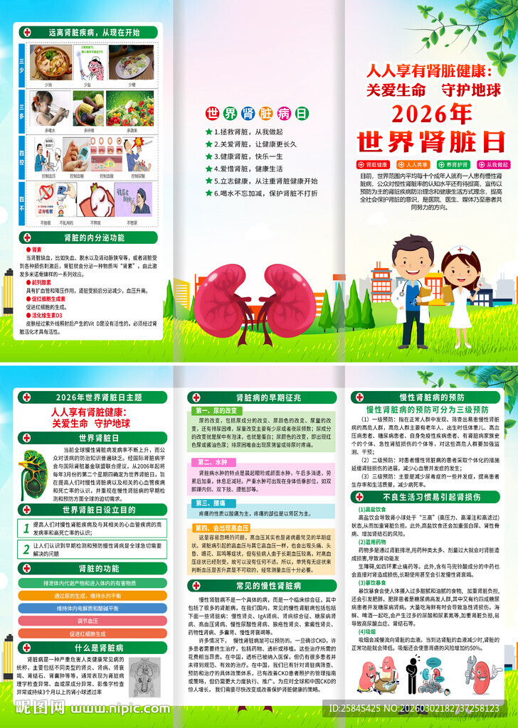 2026年世界肾脏病日折页