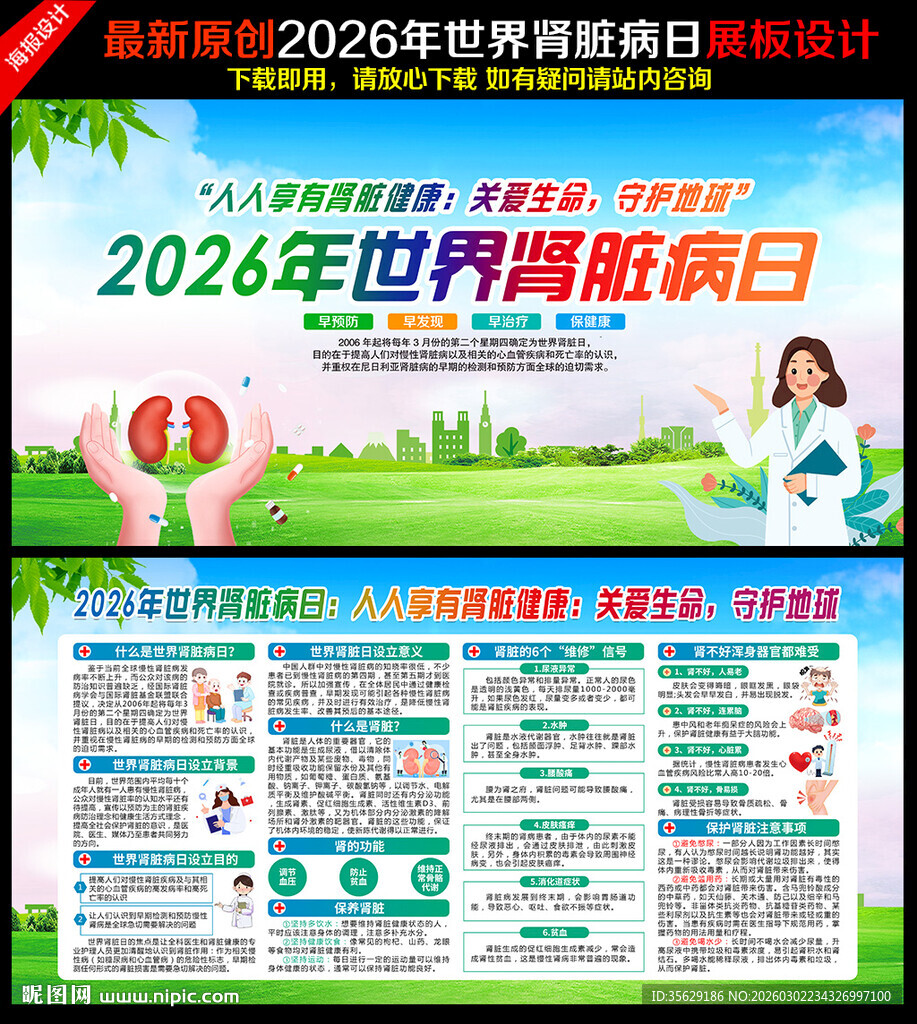 2026年世界肾脏病日展板